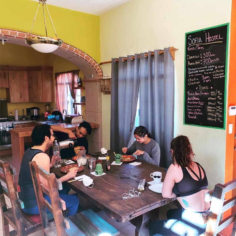 Sofia Hostel Cabo Cabo San Lucas Kültér fotó
