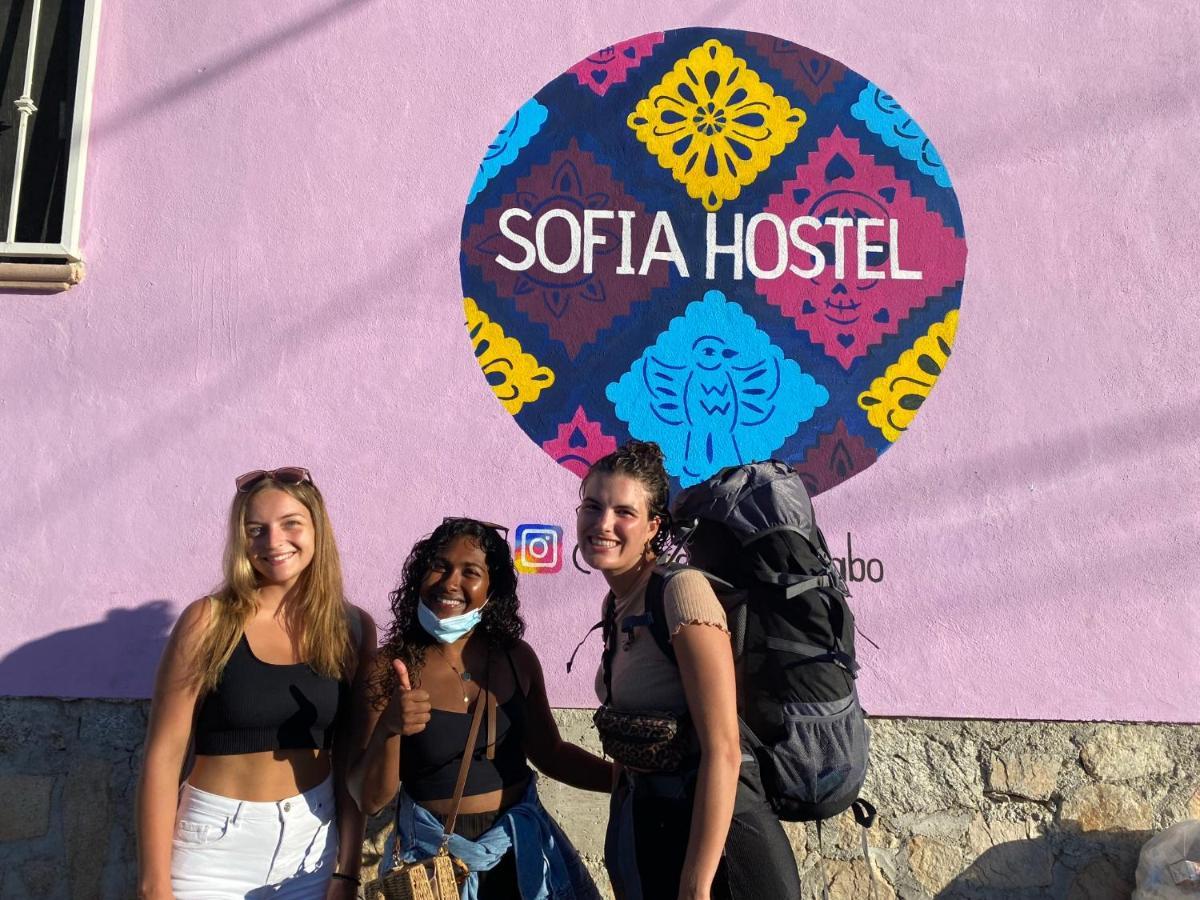 Sofia Hostel Cabo Cabo San Lucas Kültér fotó