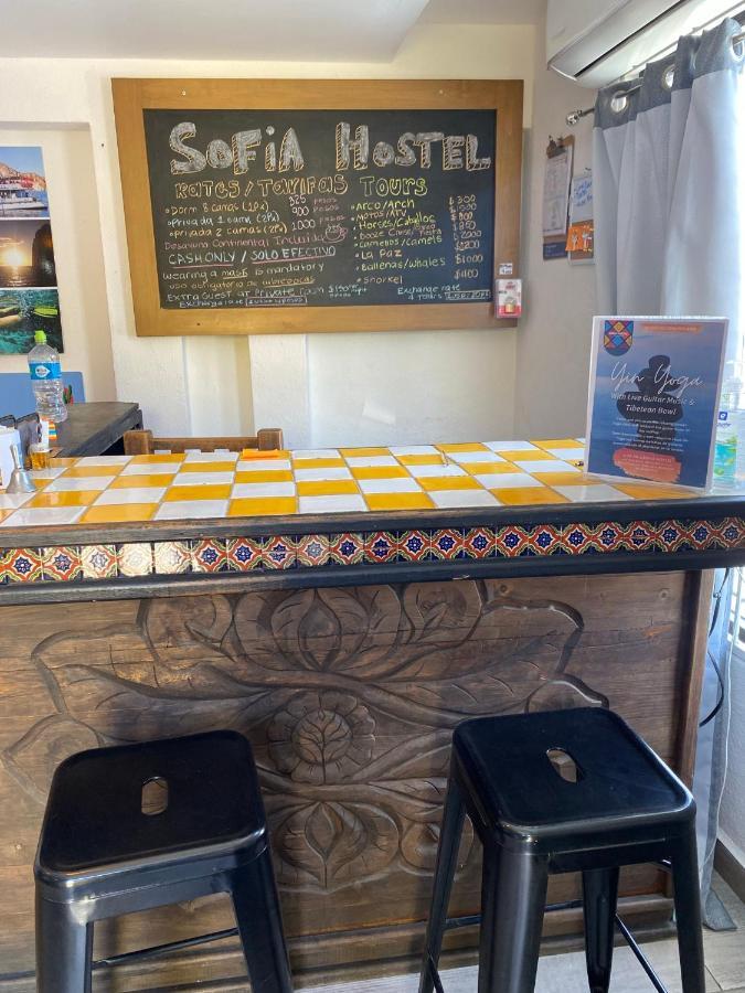 Sofia Hostel Cabo Cabo San Lucas Kültér fotó