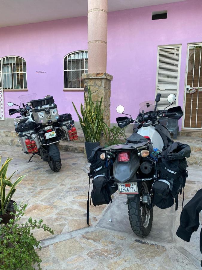 Sofia Hostel Cabo Cabo San Lucas Kültér fotó