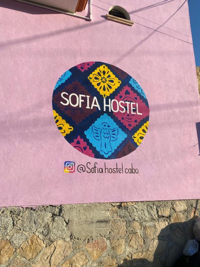 Sofia Hostel Cabo Cabo San Lucas Kültér fotó