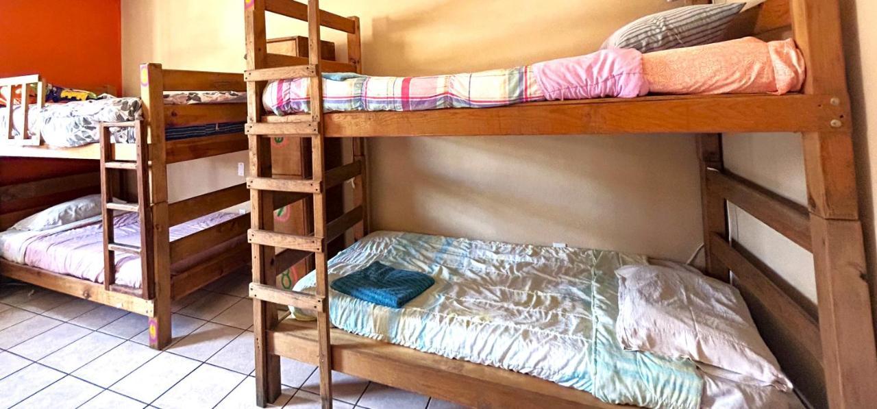 Sofia Hostel Cabo Cabo San Lucas Kültér fotó