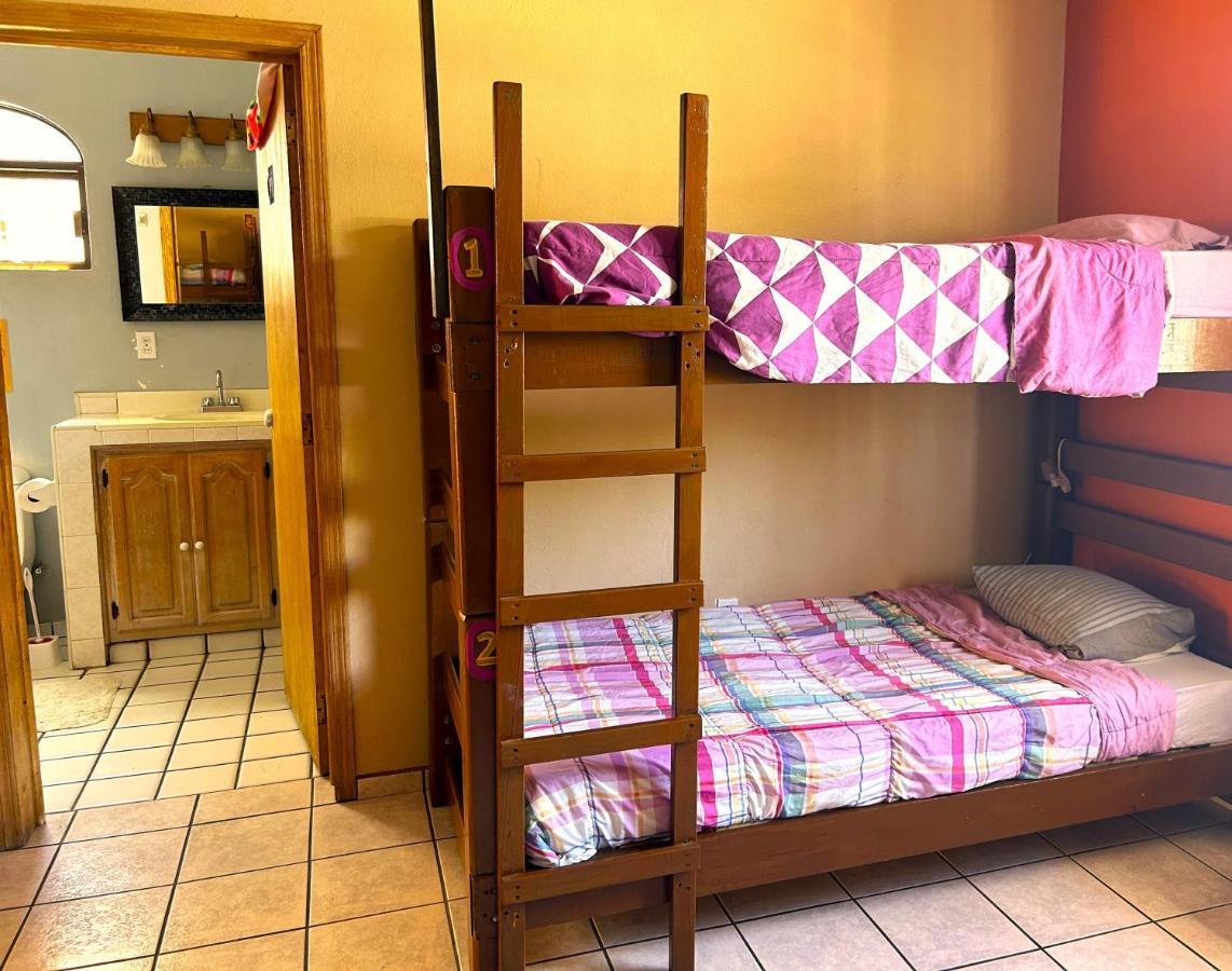 Sofia Hostel Cabo Cabo San Lucas Kültér fotó